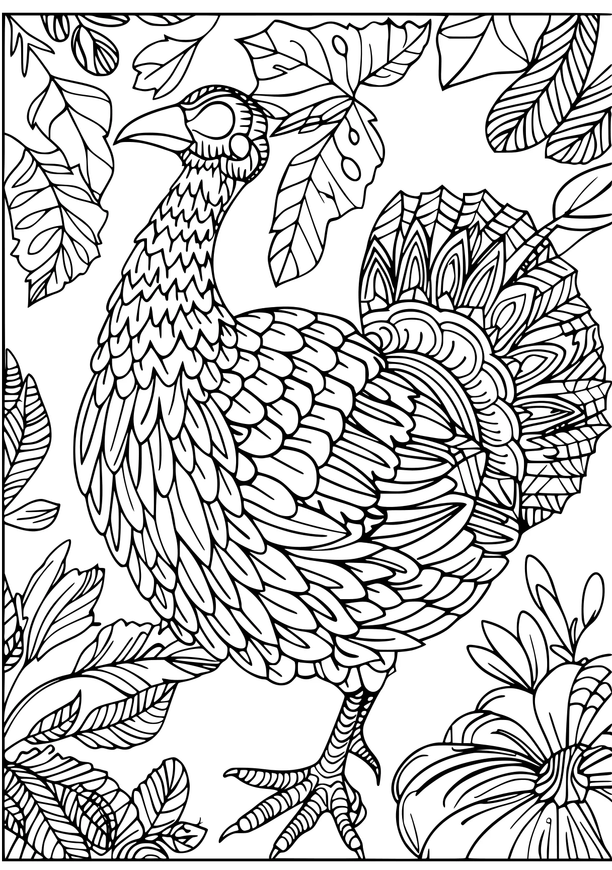 thanksgiving coloring pages, rooster, peacock, zentangle, free page downloads