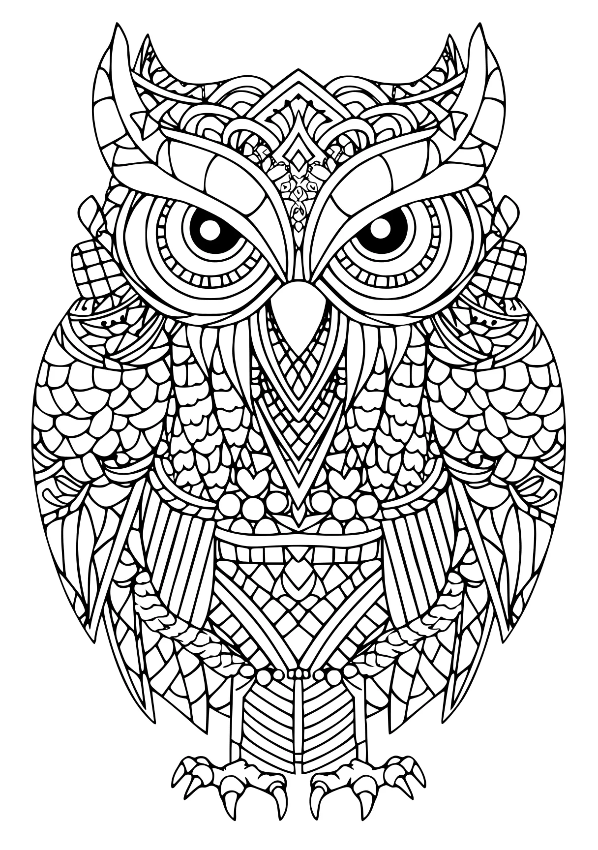 new years coloring pages owl, zentangle, illustrator, free page downloads