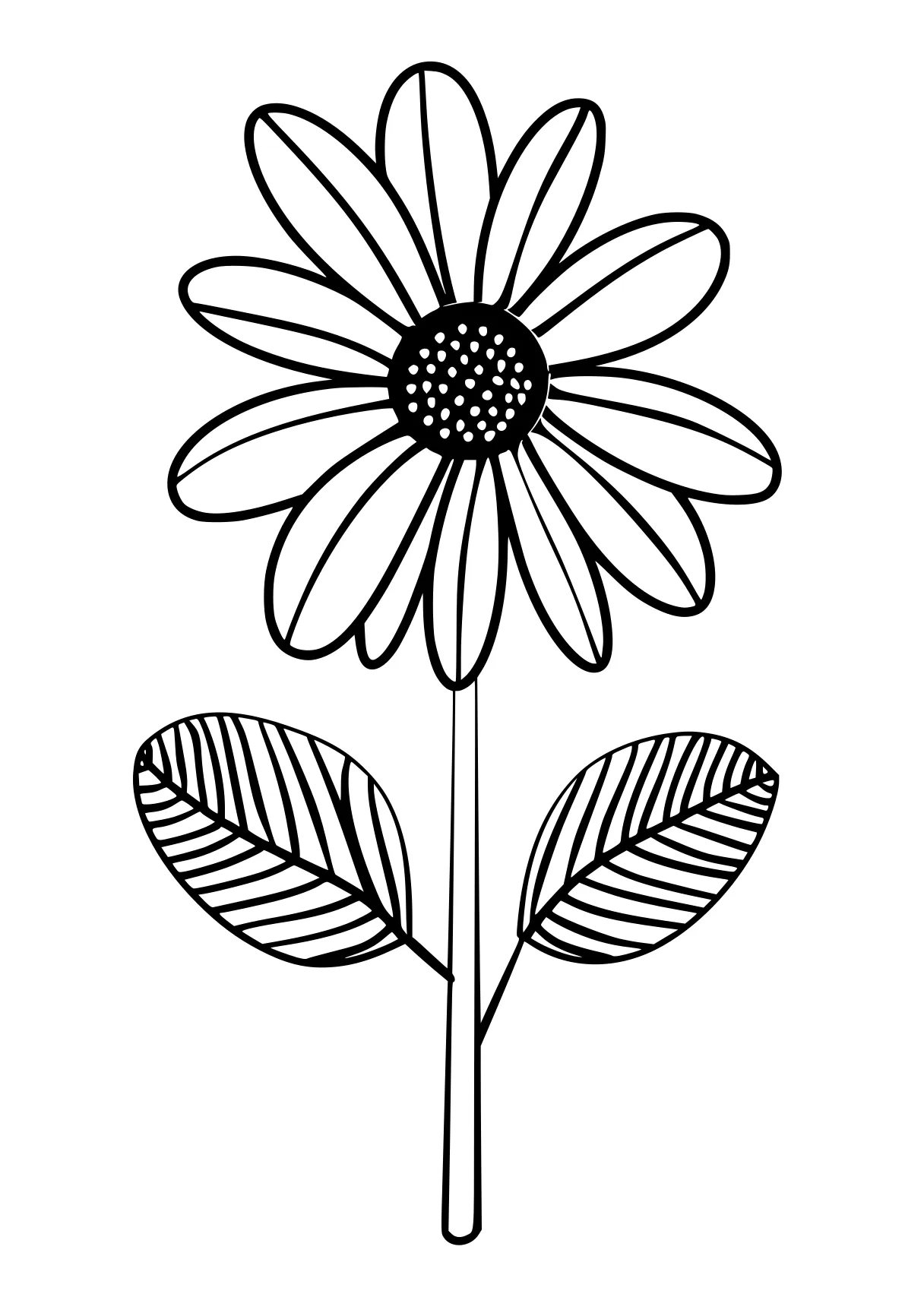 flower coloring sheets flower, daisy, flowers, free page downloads