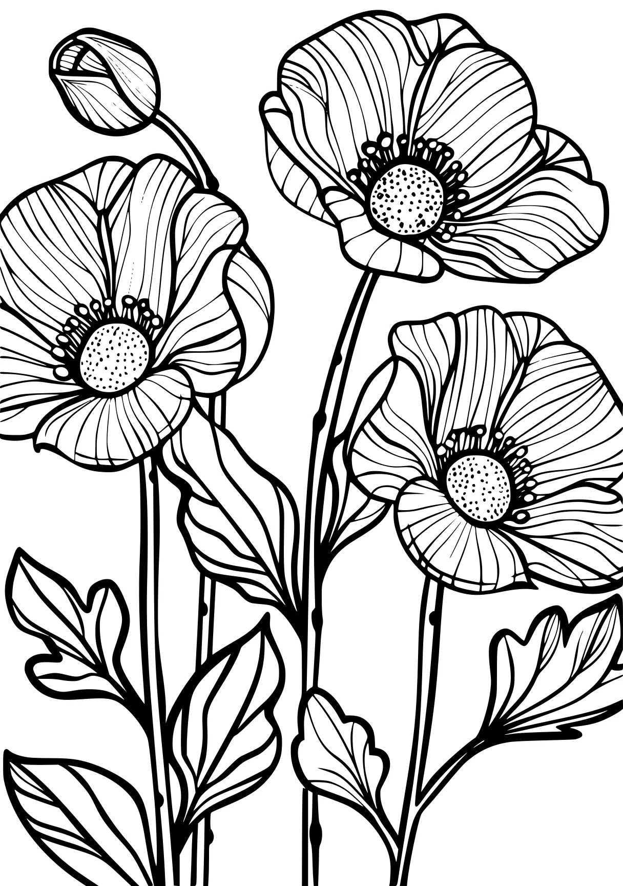 flower coloring sheets, poppy, colouring, flowers, free page downloads