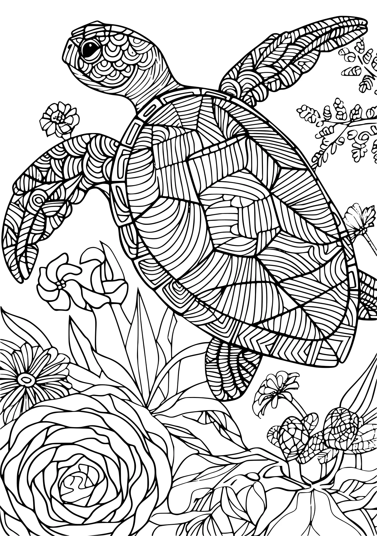 amazon coloring books for adults, zentangle, turtle, colouring, free page downloads