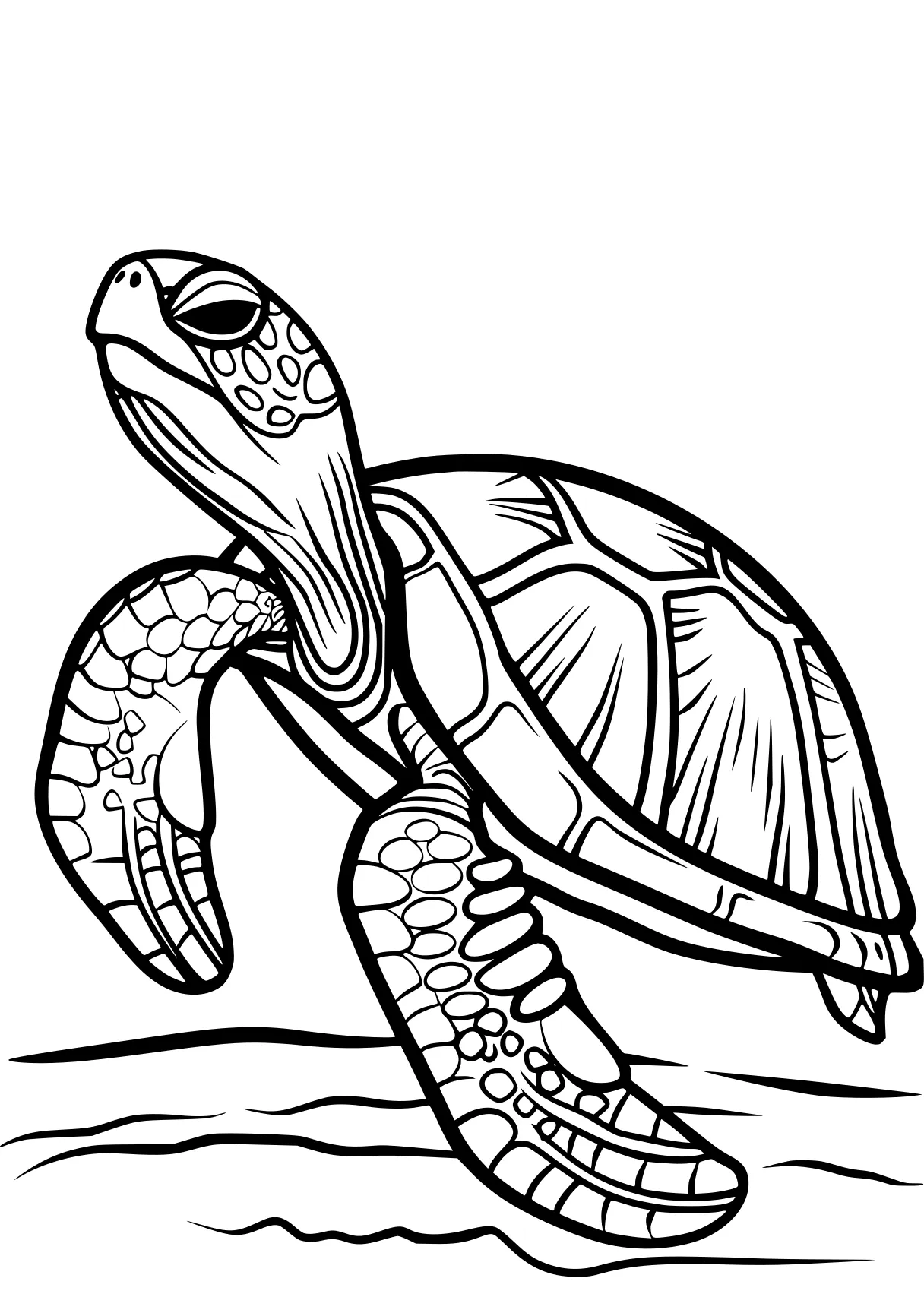 turtle pictures to color turtle, turtles, biollante, patrol, illustrator, free coloring page downloads