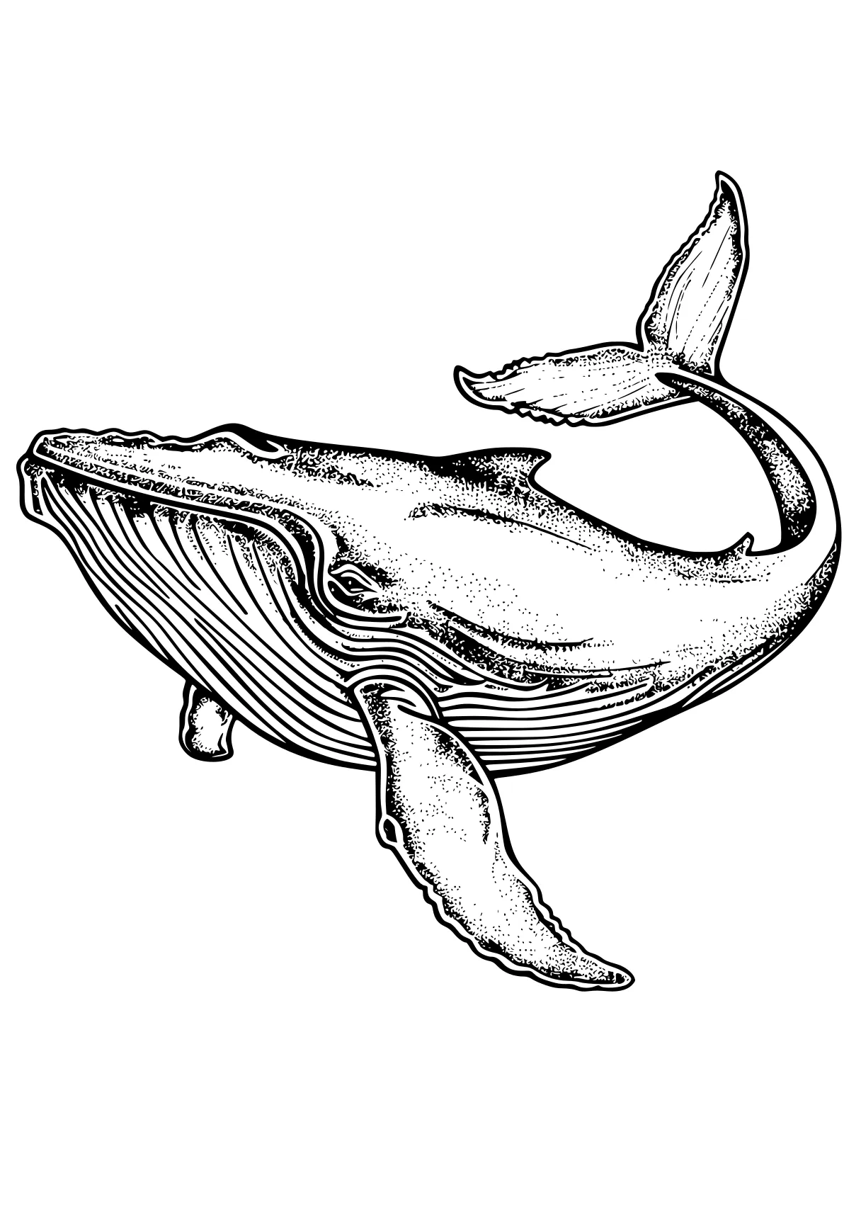 whale coloring pages whale, dolphin, orca, whales, mosasaurus, free page downloads