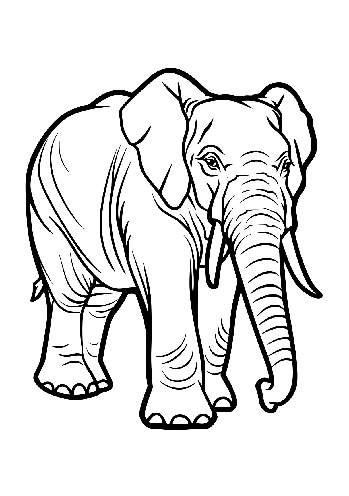 elephant coloring page elephant, dumbo, size, illustrator, zooba, free downloads