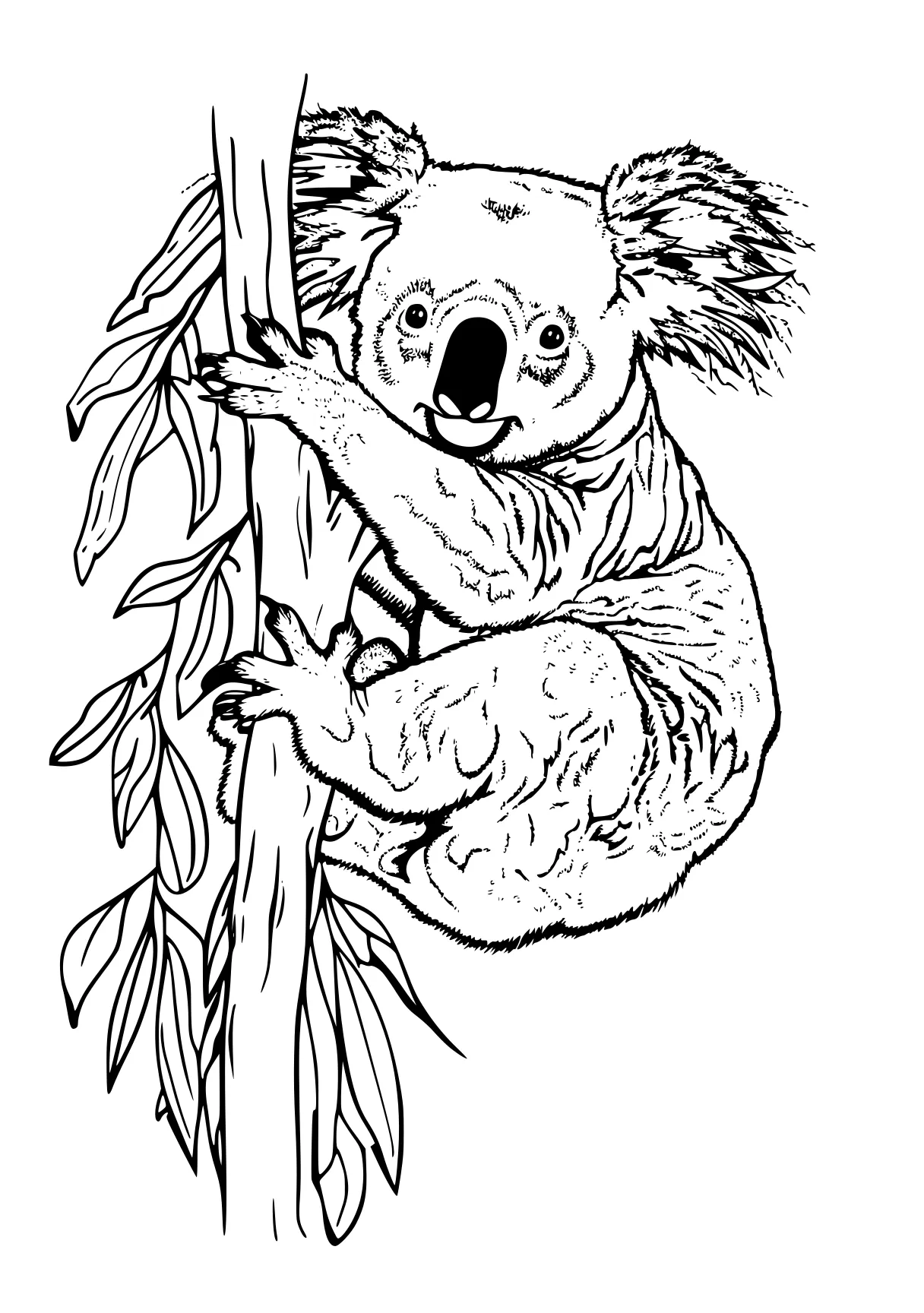 koala coloring page koala, sloth, hedgehog, piglet, acorn, free downloads