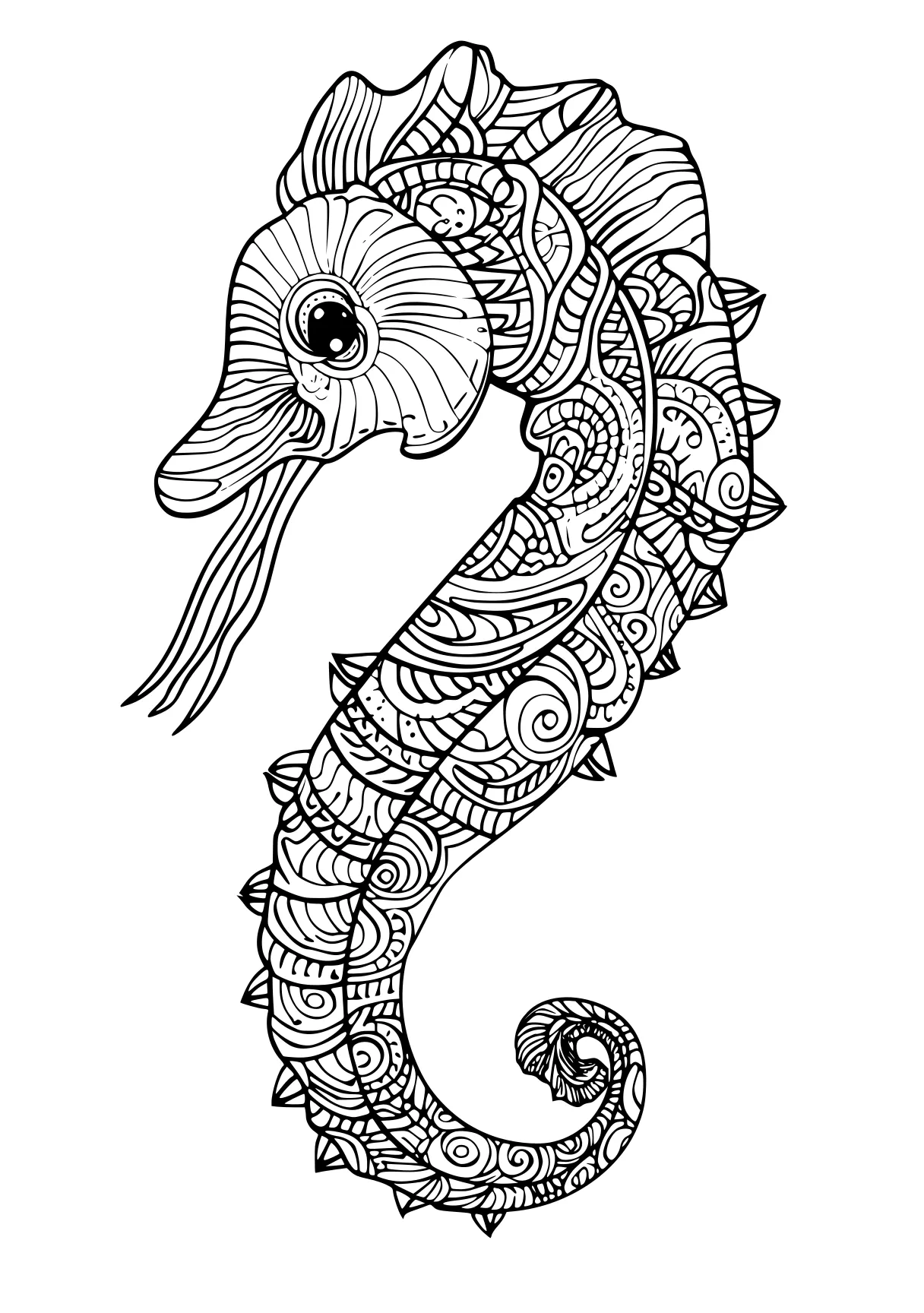 sea creature coloring page seahorse, zentangle, octopus, free downloads