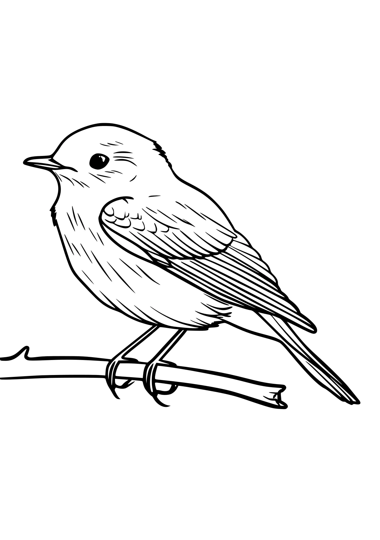 bird coloring pages bird, swift, robin, birds, illustrator, free page downloads