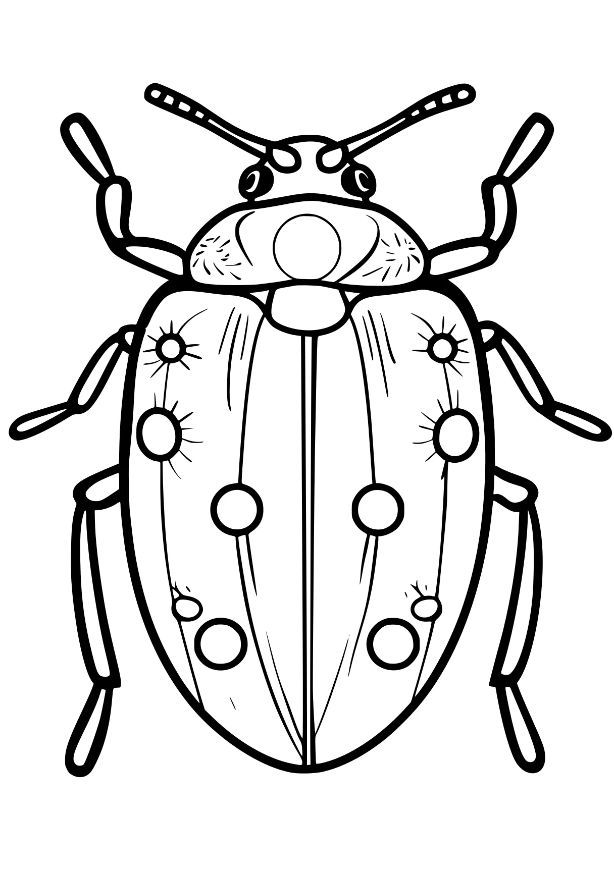 ladybug coloring sheets insect, insects, bee, size, bugs, free page downloads