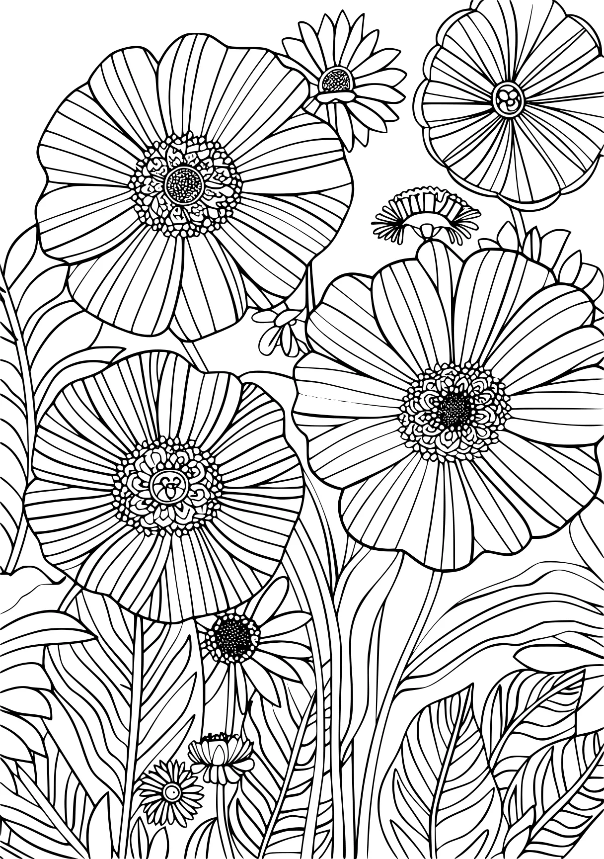 coloring pages for adults flowers, pattern, zentangle, printables, free page downloads