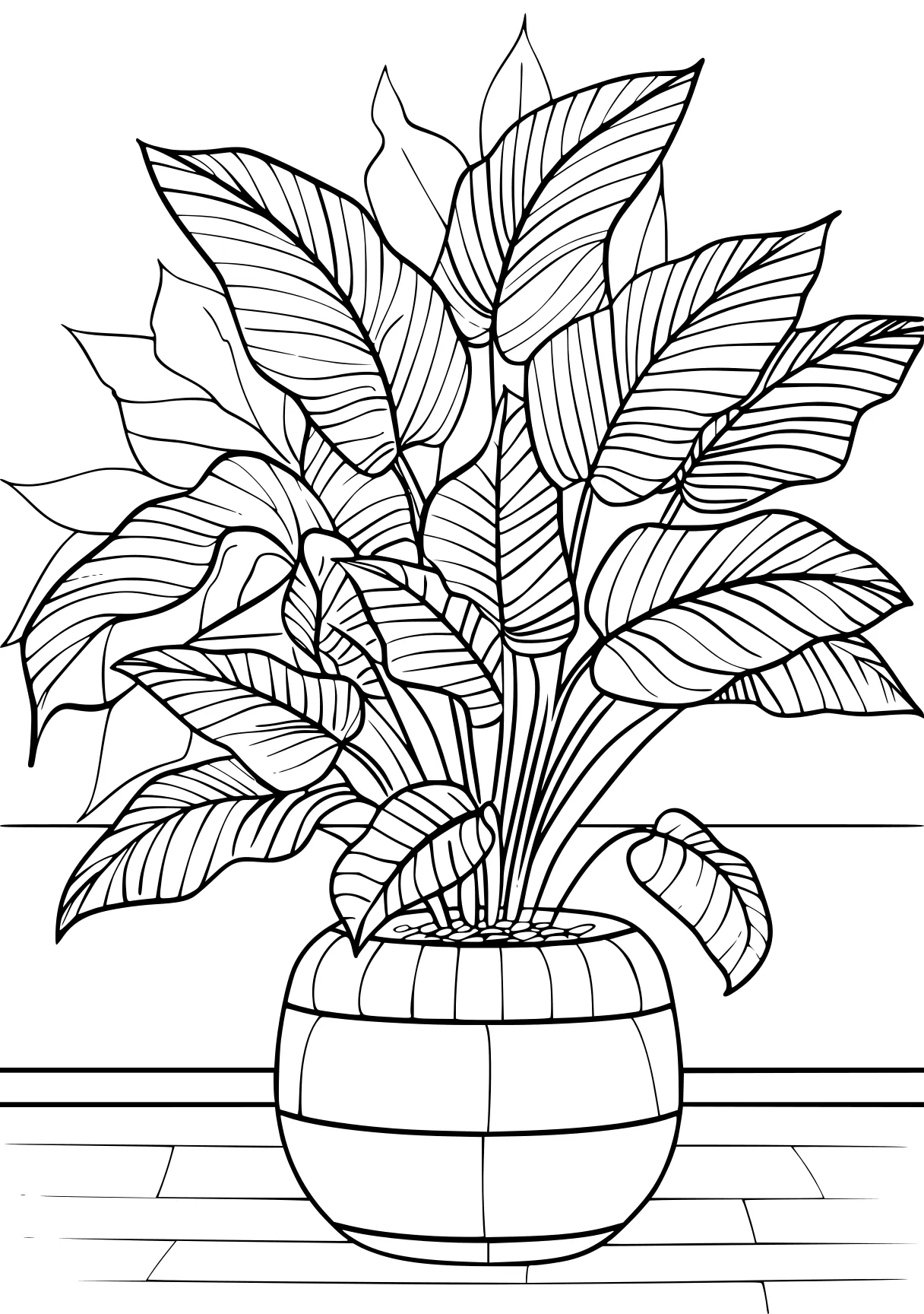 plant coloring pages plant, plants, palm, free page downloads