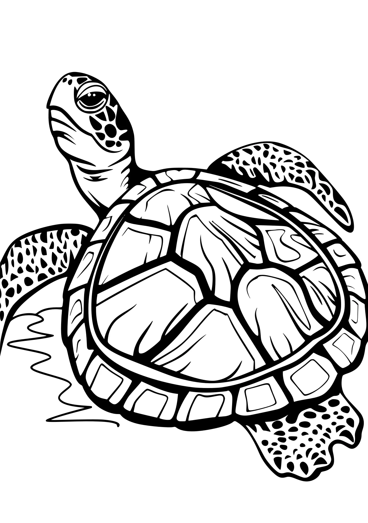 turtle coloring pages turtle, patrol, turtles, ankylosaurus, illustrator, free page downloads