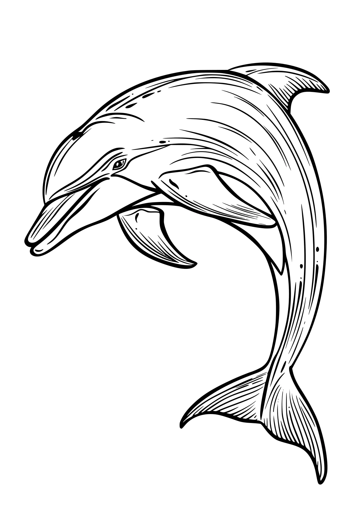 dolphin coloring pages dolphin, whale, orca, mosasaurus, whales, free page downloads