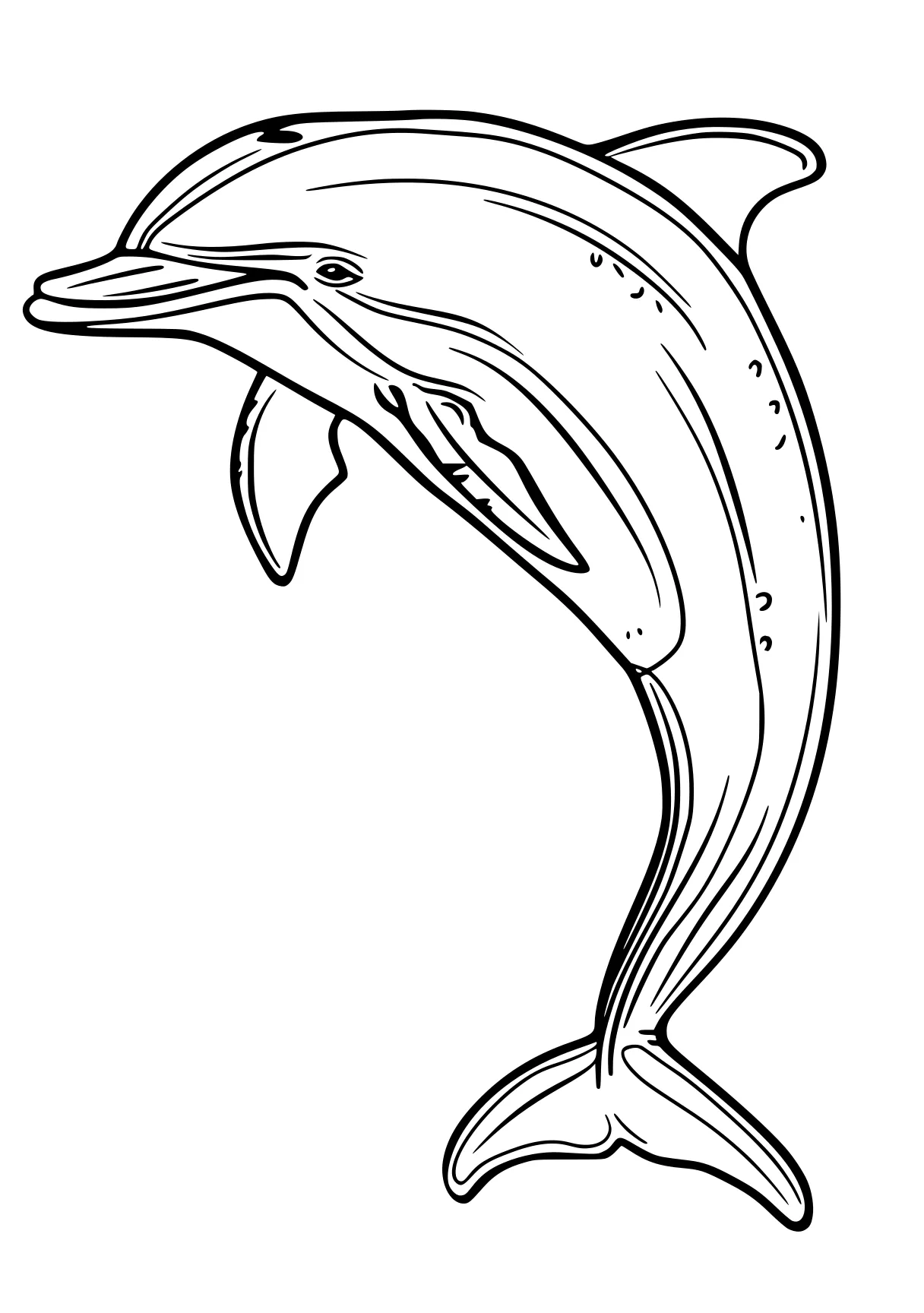 dolphin coloring sheet dolphin, fish, whale, narwhal, mosasaurus, free page downloads