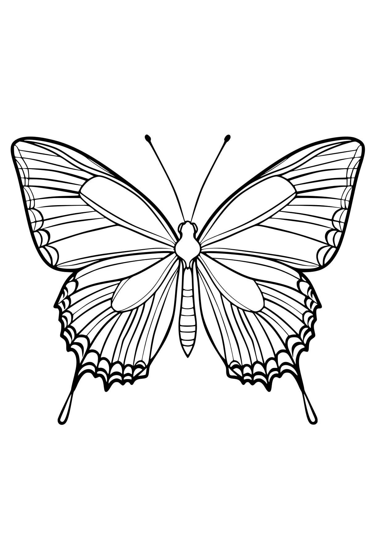 butterfly coloring butterfly, insect, butterflies, adult, insects, free page downloads