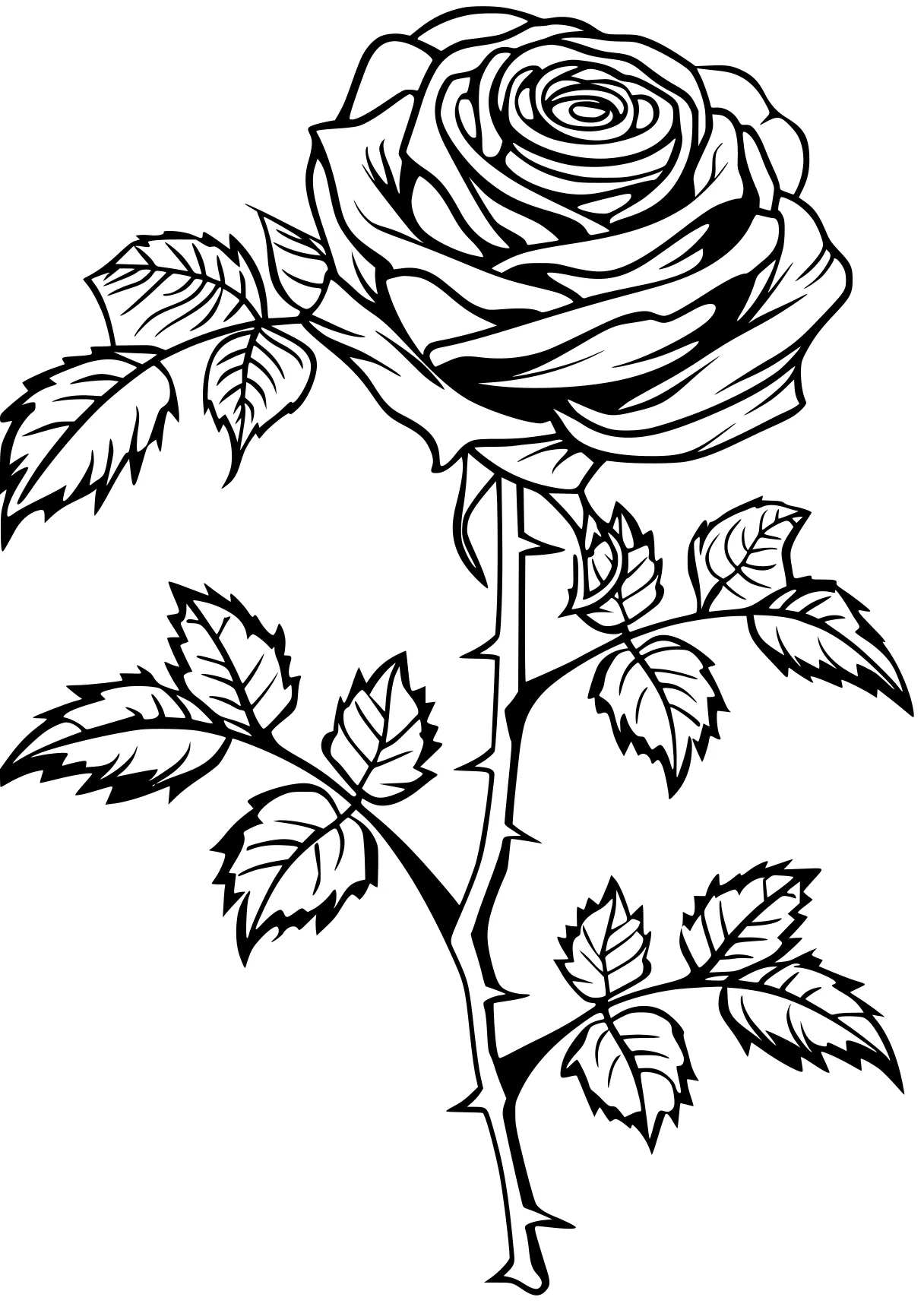 rose coloring pages rosa, rose, design, free page downloads