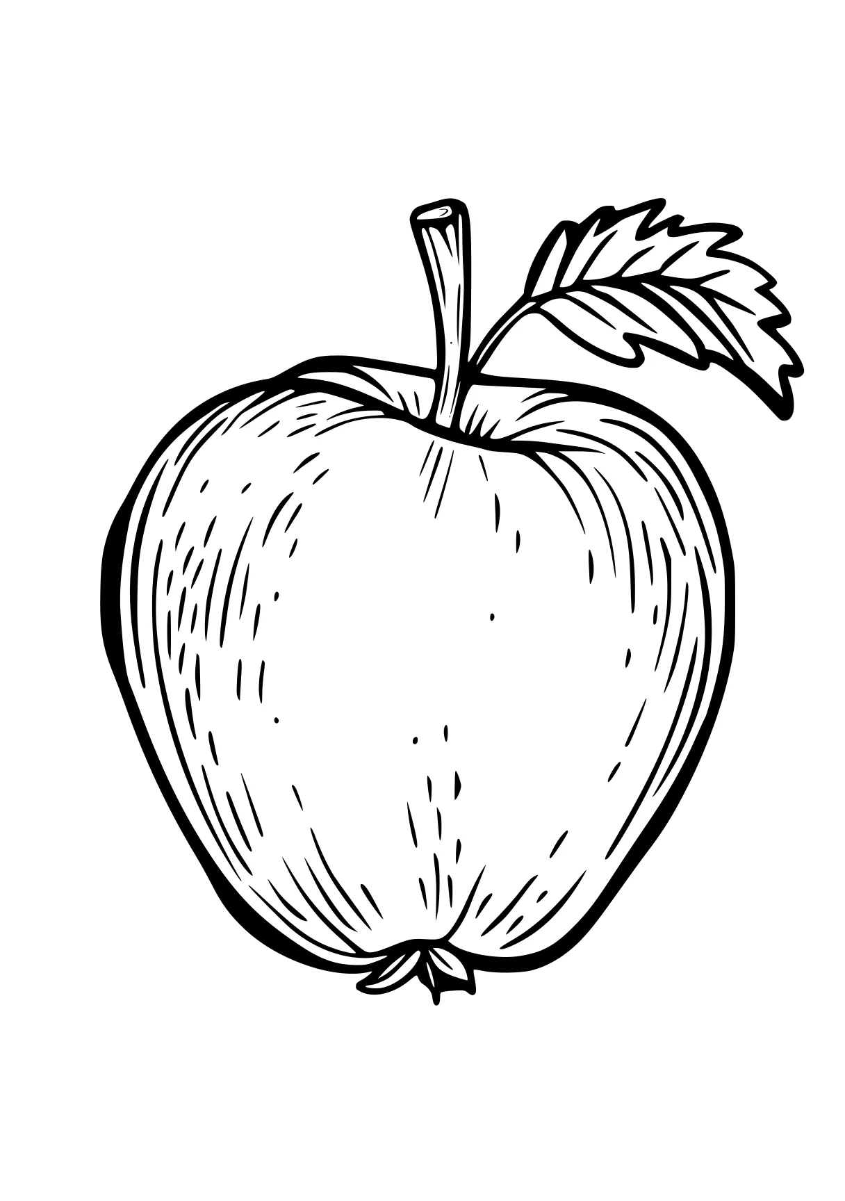 apple coloring sheet apple, vegetable, fruit, wall, illustrator, free page downloads