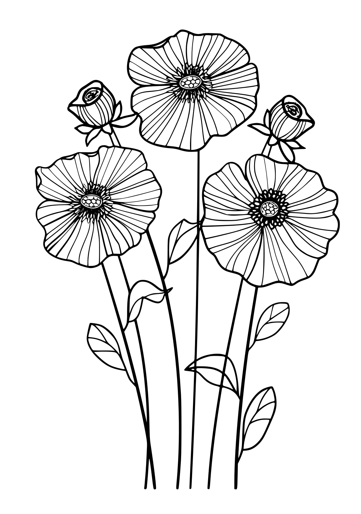 flower coloring flowers, flower, poppy, free page downloads