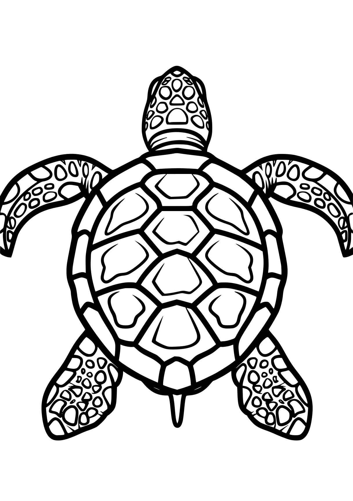 turtle pictures to color turtle, turtles, size, squirtle, patrol, free coloring page downloads