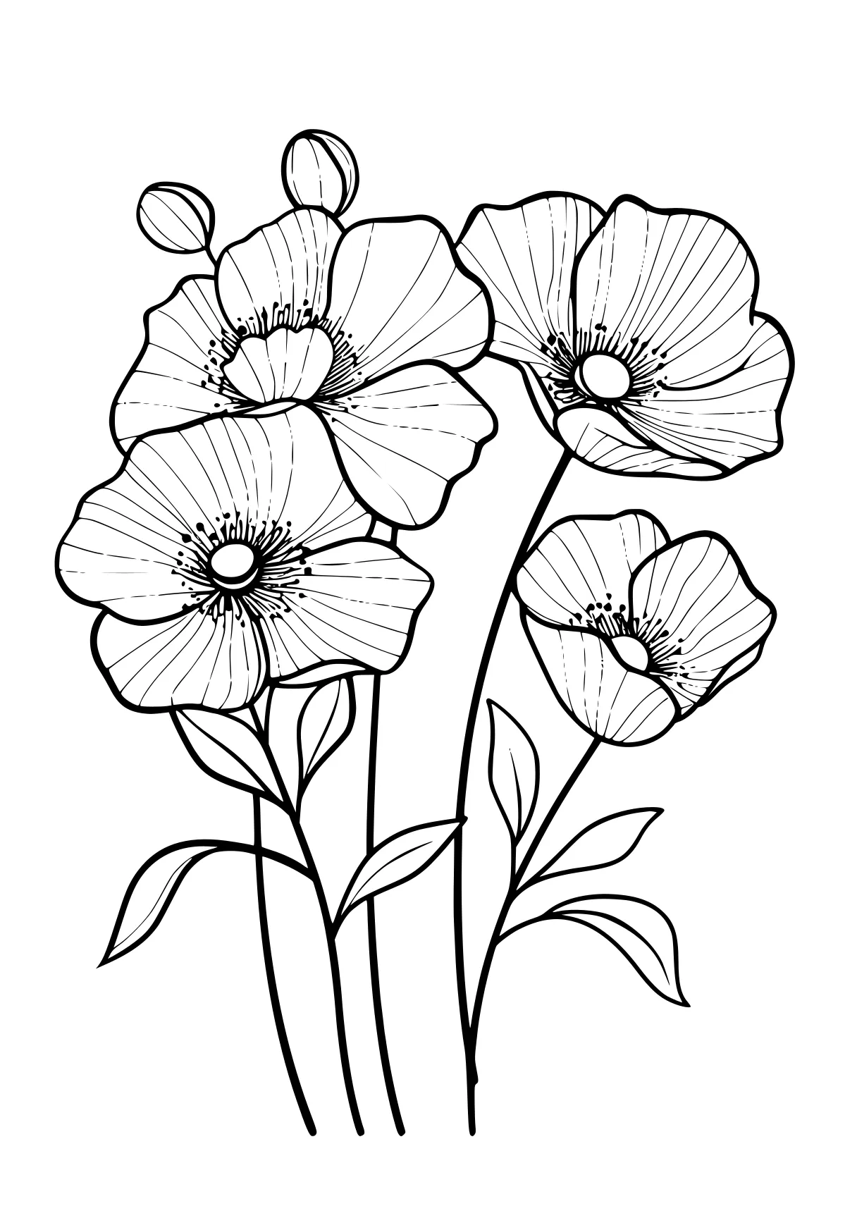 coloring pages printable flowers flowers, flower, poppy, plant, free page downloads