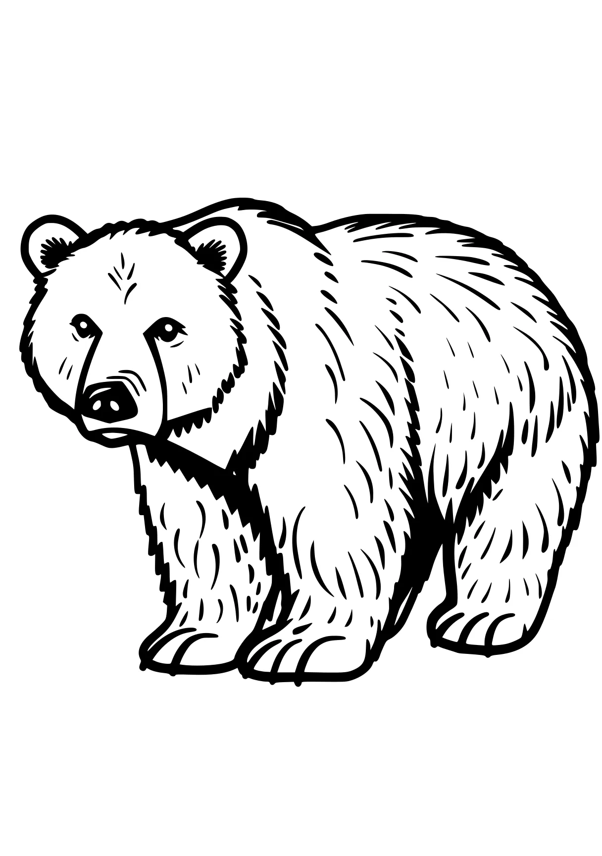 bear coloring pages bear, polar, bears, illustrator, size, free page downloads