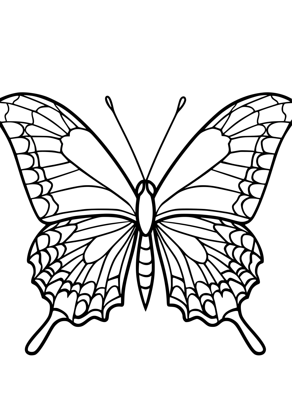 butterfly coloring sheet butterfly, butterflies, insect, free page downloads