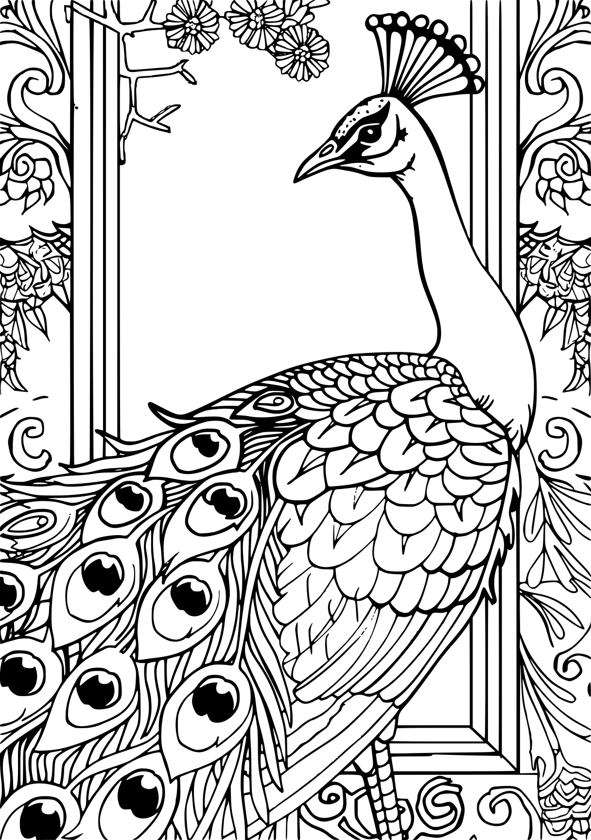 peacock coloring, peacock, bird, rooster, free page downloads