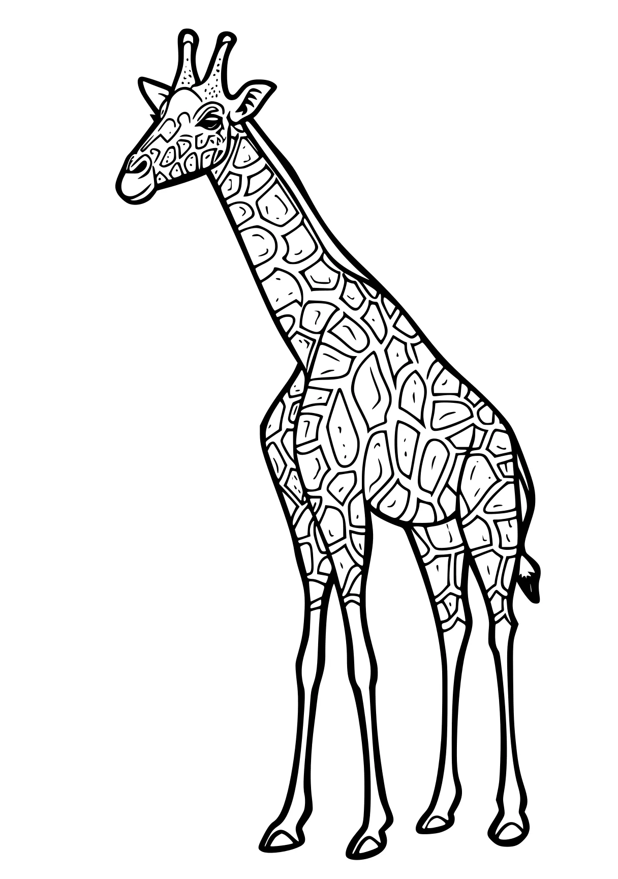 giraffe coloring giraffe, brachiosaurus, llama, camel, zebra, free page downloads