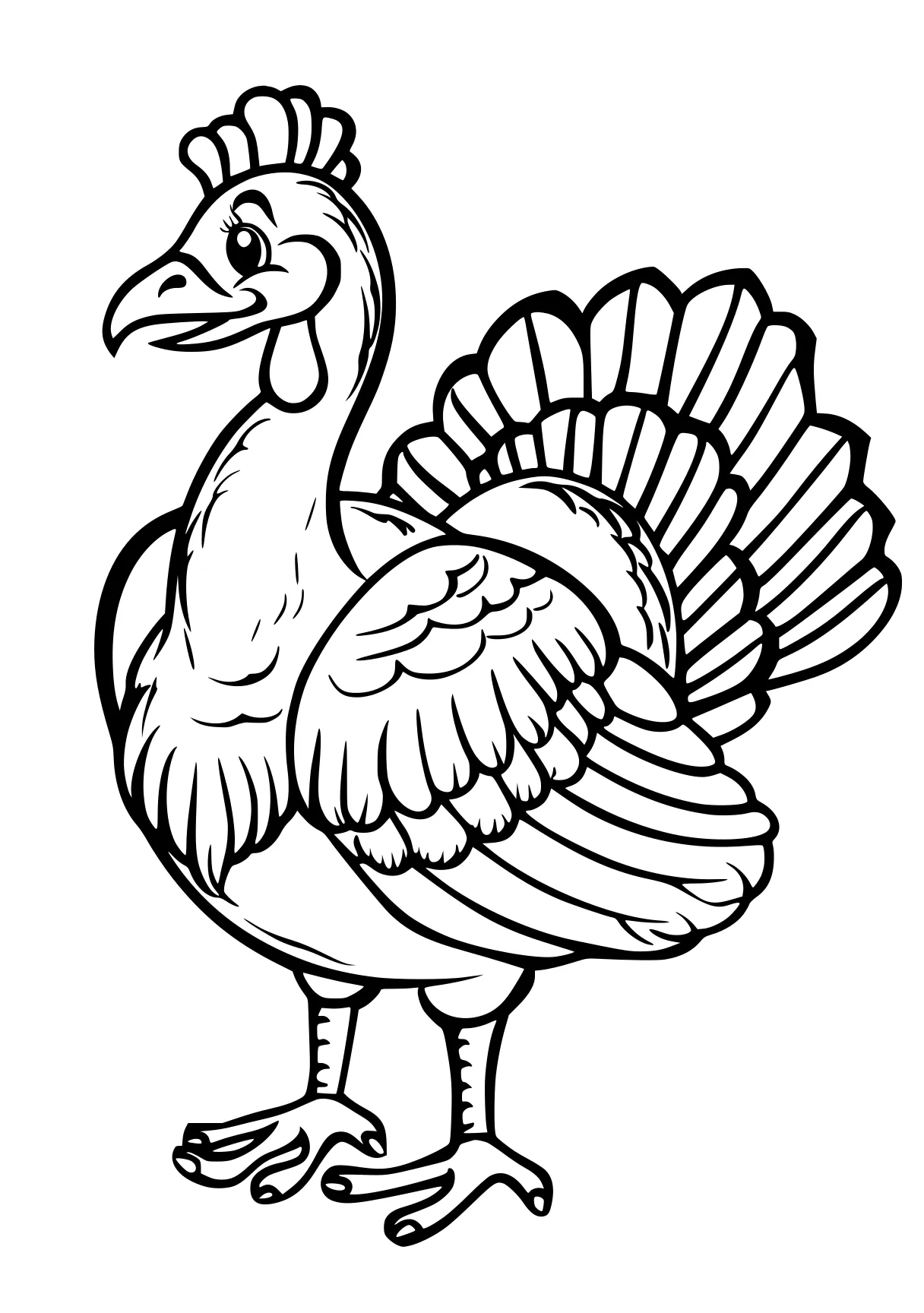 turkey coloring turkey, rooster, thanksgiving, size, free page downloads