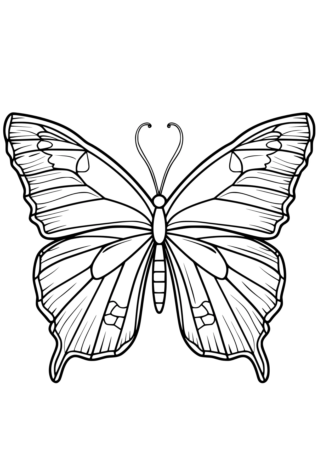 butterfly coloring pages butterfly, butterflies, insect, adult, size, free page downloads