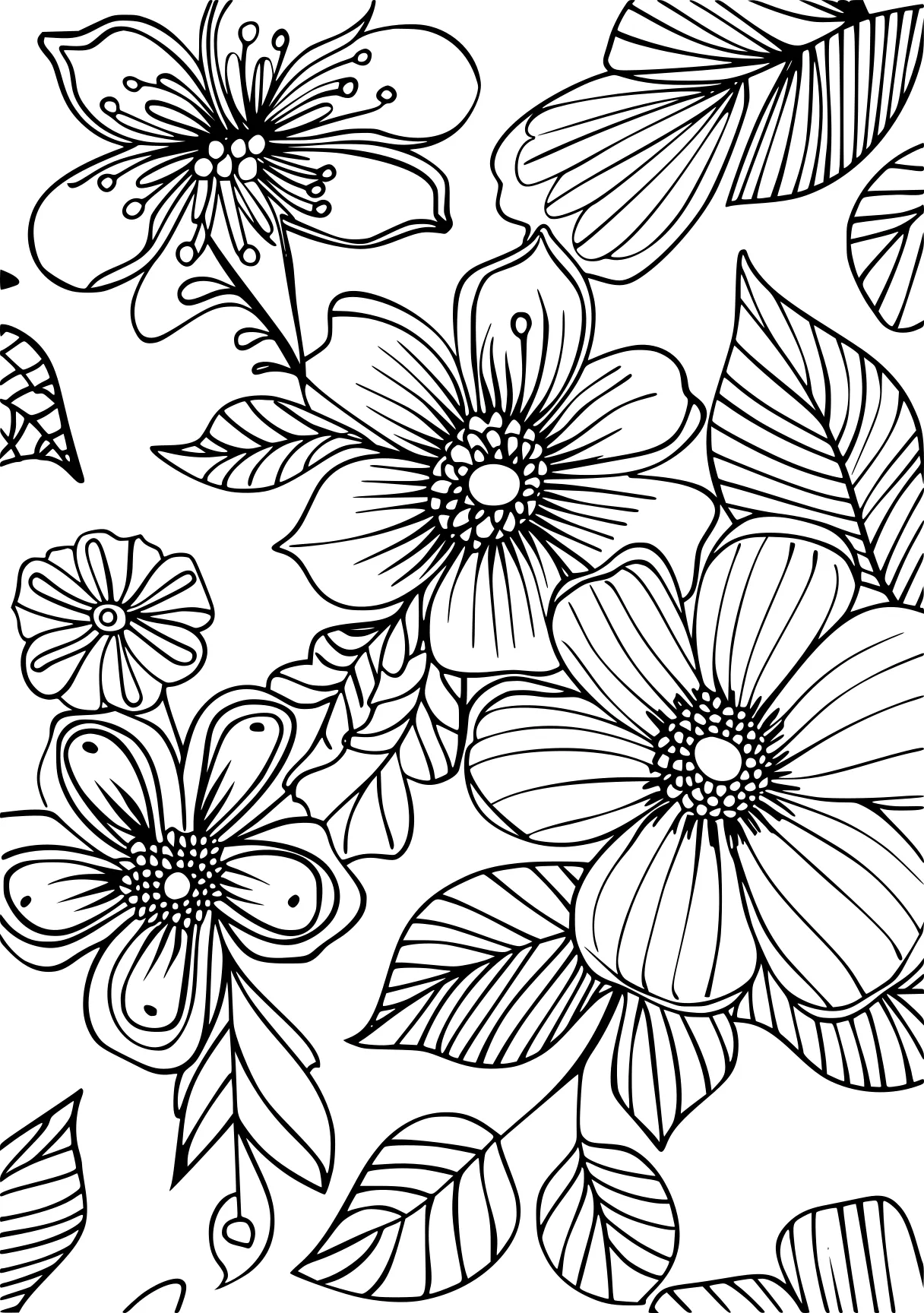 coloring pages for adults animals, pattern, colouring, zentangle, free page downloads