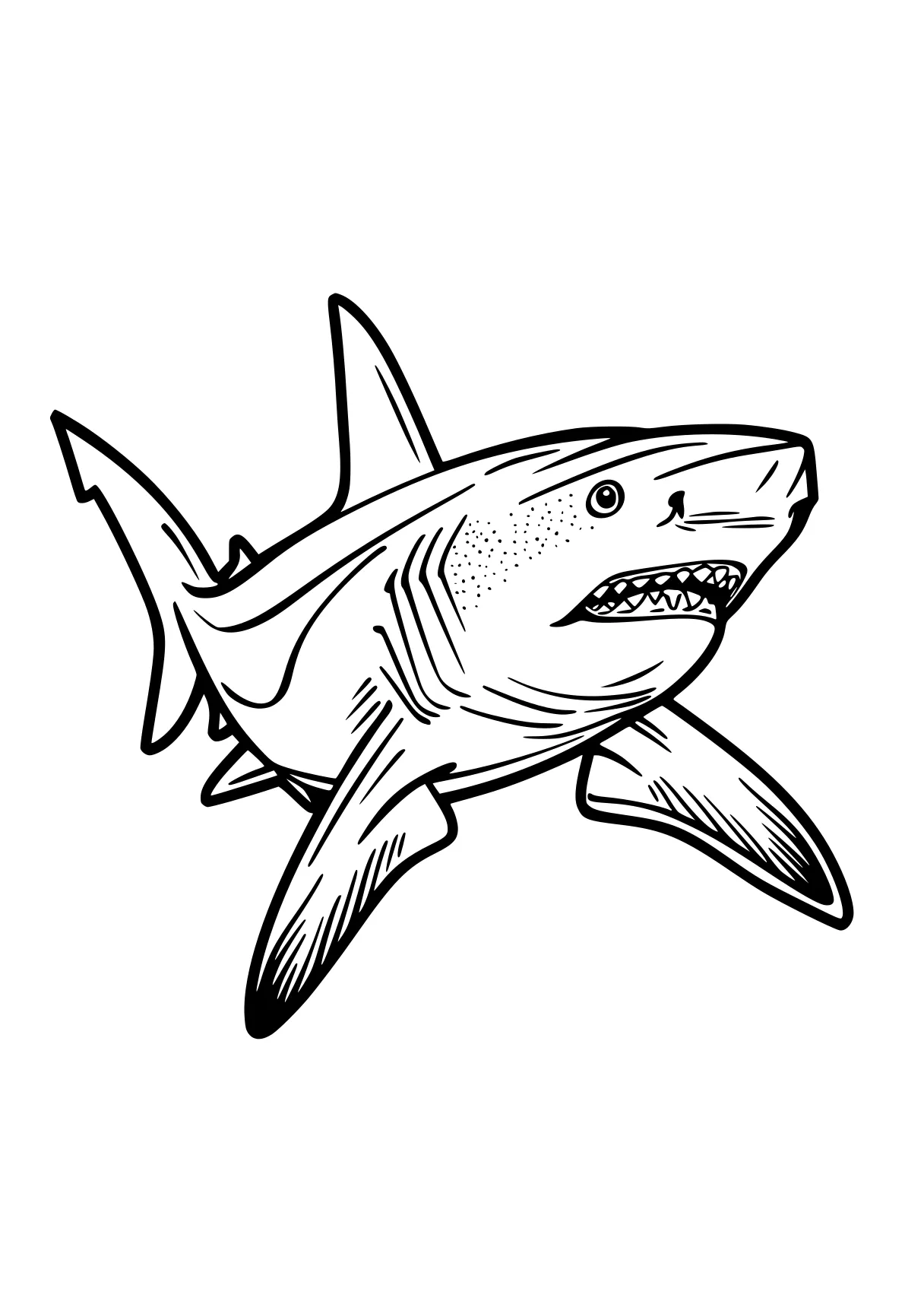 shark coloring sheet megalodon, shark, sharks, fish, orca, free page downloads