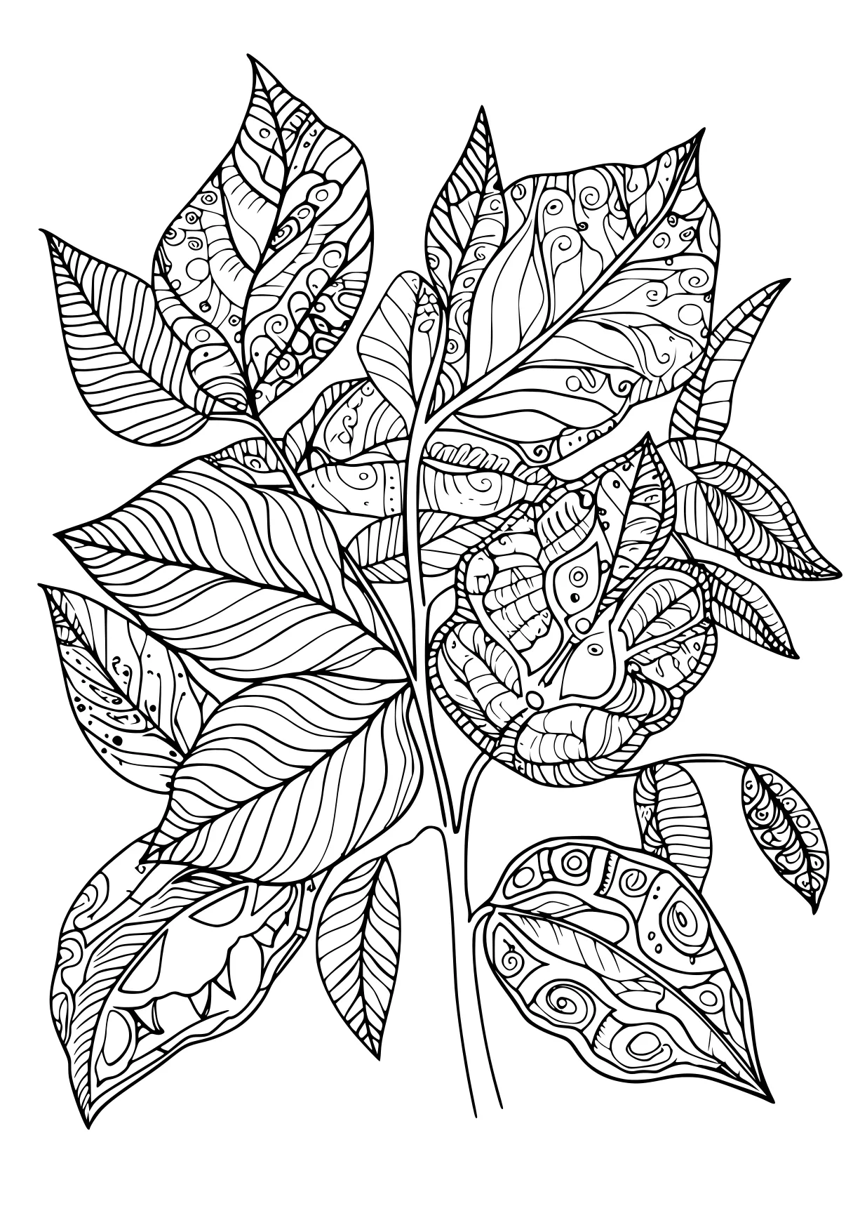 fall coloring pages, plant, plants, illustrator, free page downloads