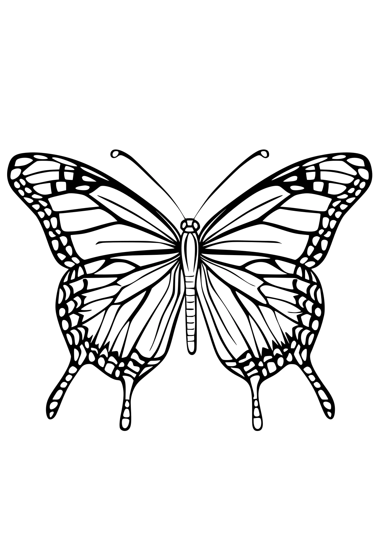 butterfly coloring pages butterfly, butterflies, adult, insect, insects, free page downloads