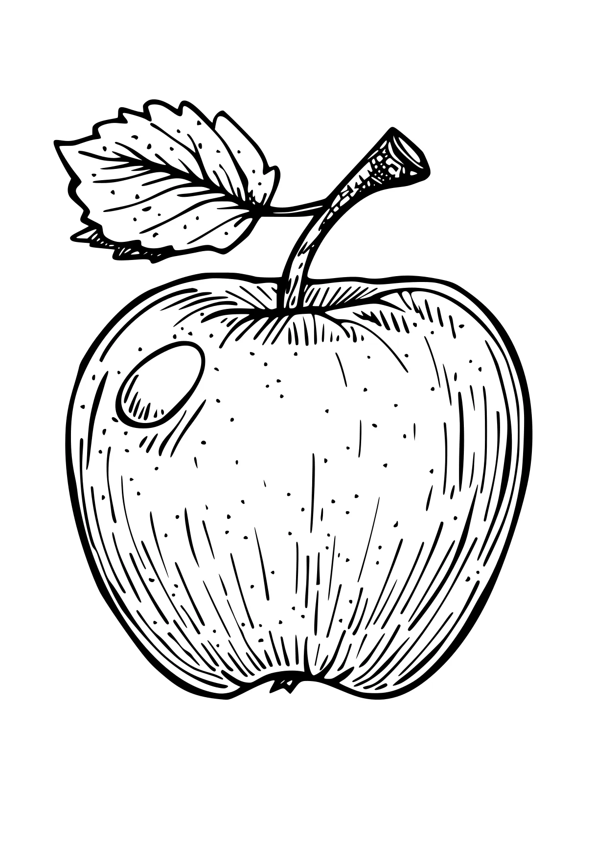 apple coloring page apple, acorn, fruit, a4, vegetable, free downloads