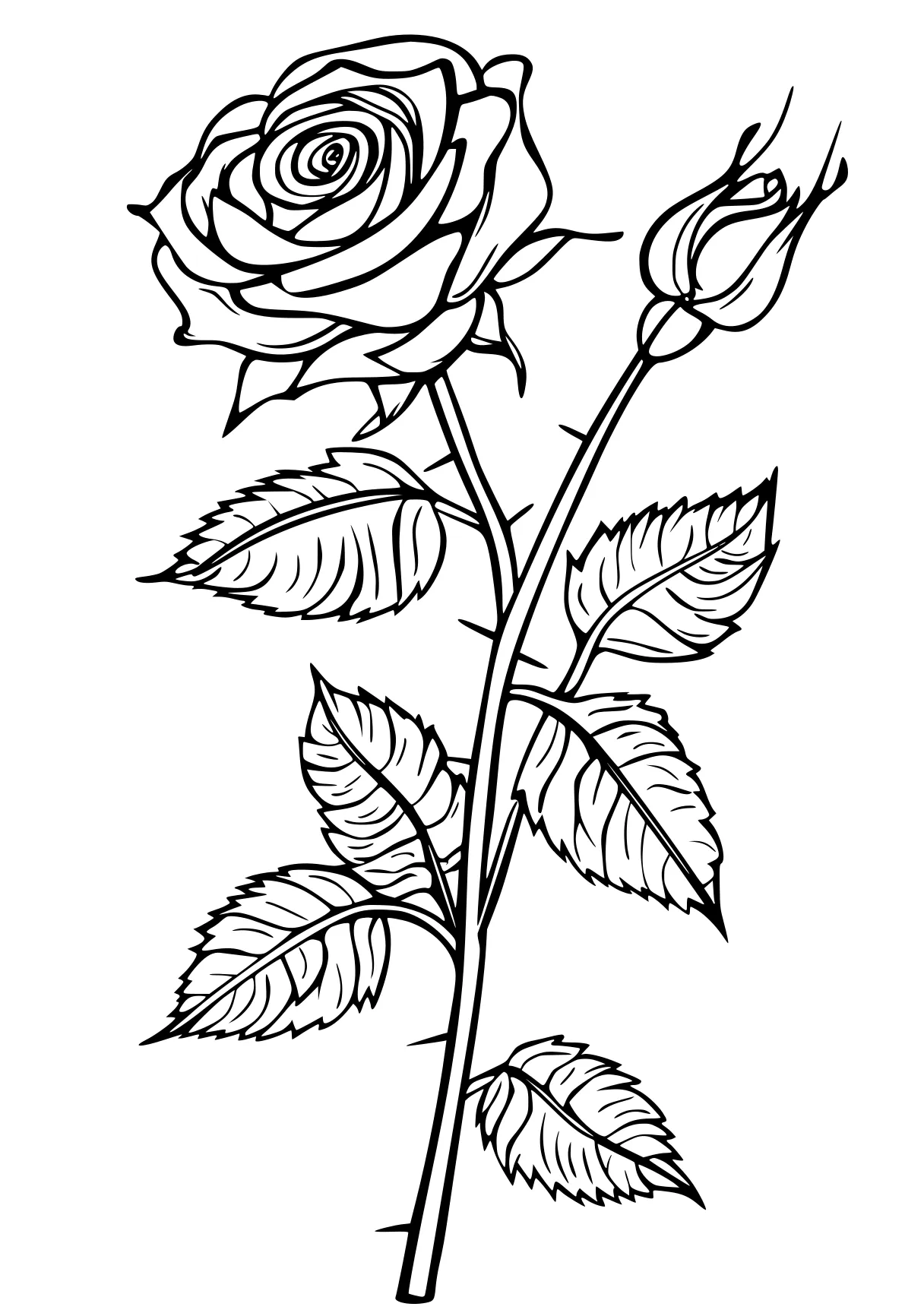 rose coloring pages rosa, rose, flower, free page downloads