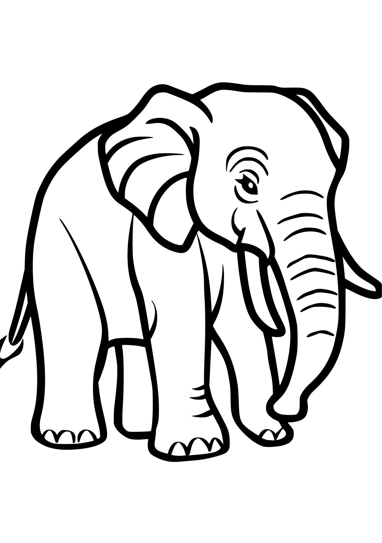 elephant coloring page elephant, dumbo, size, illustrator, zoo, free downloads