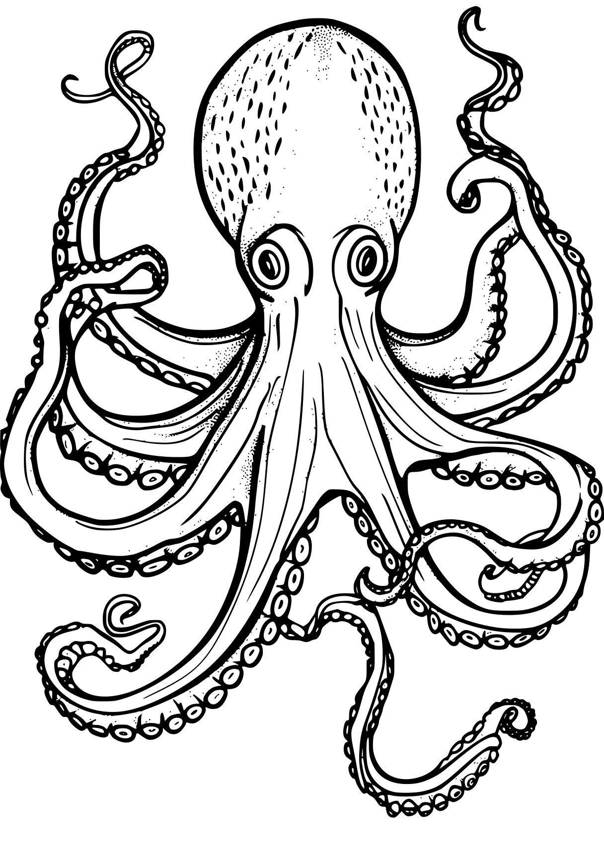 octopus coloring page octopus, illustrator, size, free downloads