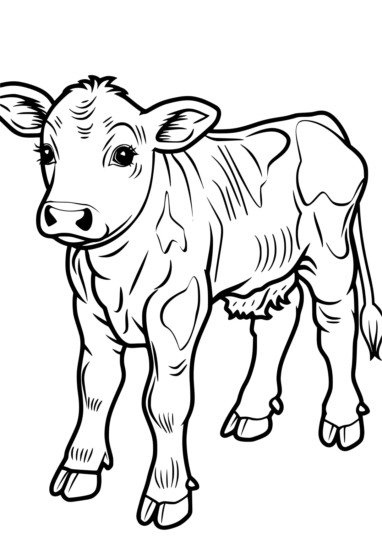 cow coloring pages cow, buffalo, illustrator, rhino, farm, free page downloads