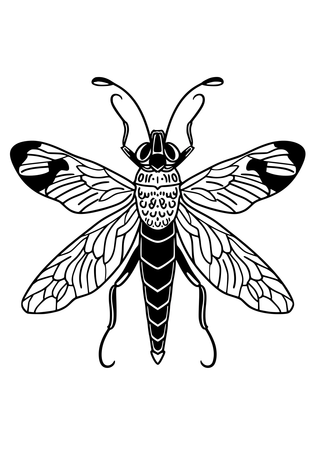 insect coloring pages bee, insect, insects, size, adult, free page downloads