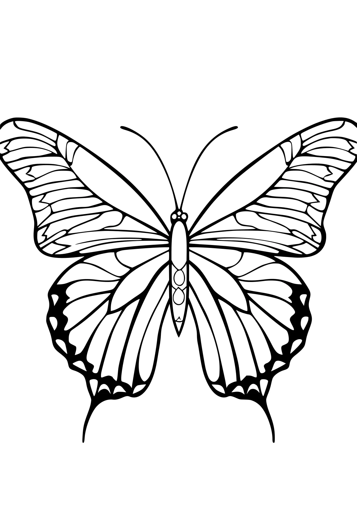 butterfly coloring sheet butterfly, butterflies, insect, wings, free page downloads