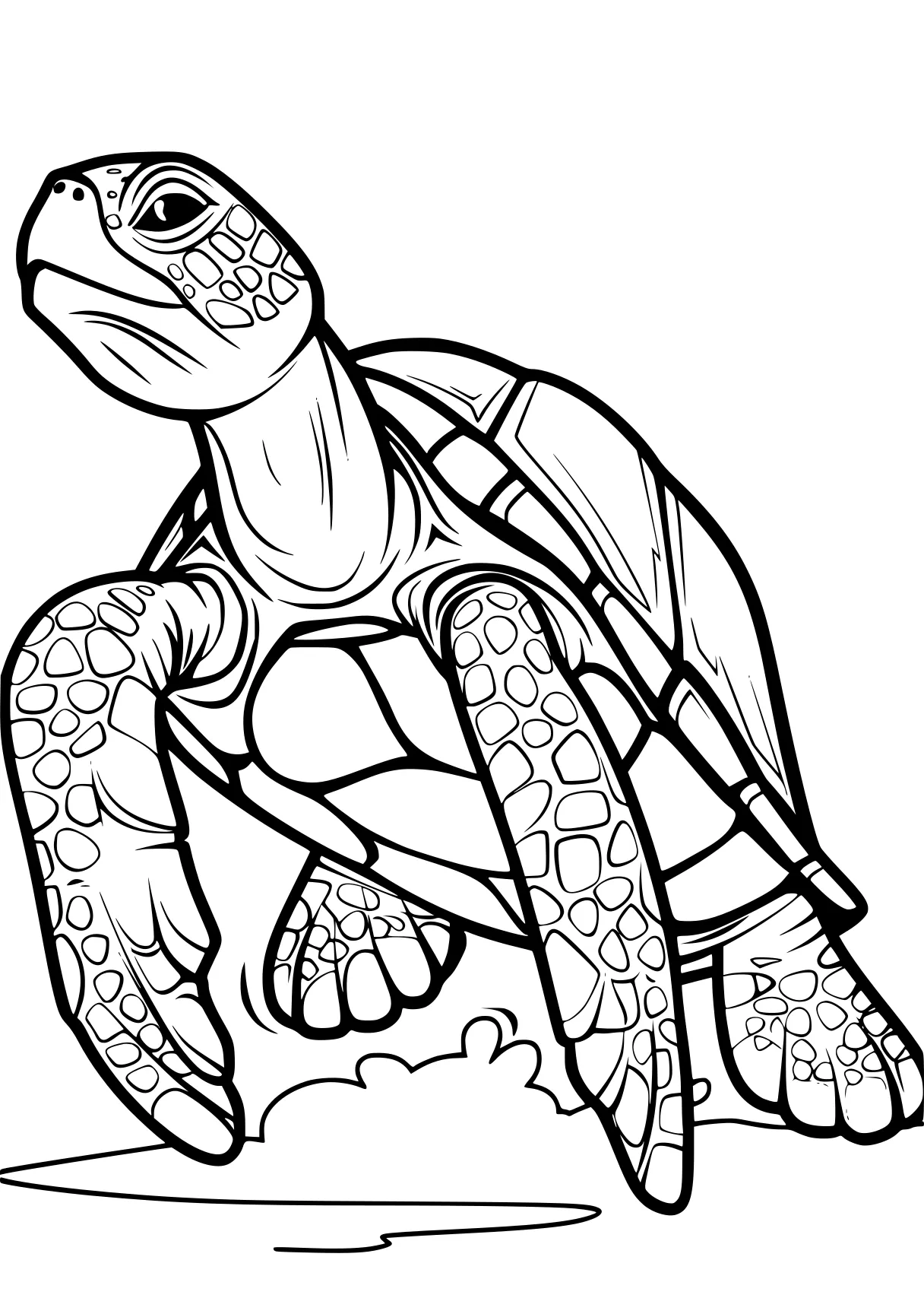 turtle coloring pages turtle, squirtle, turtles, biollante, free page downloads