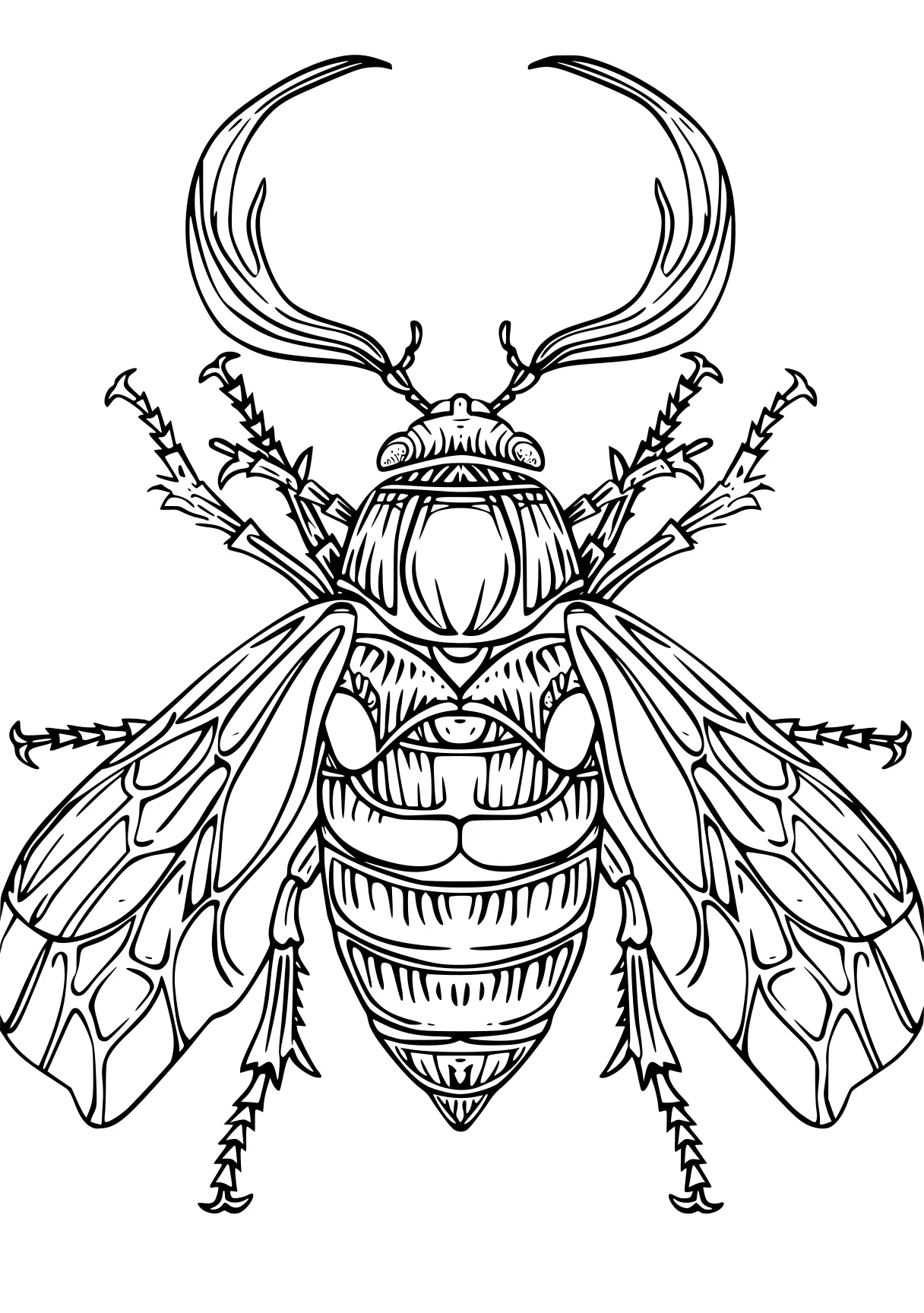 insect coloring pages bee, insect, insects, free page downloads