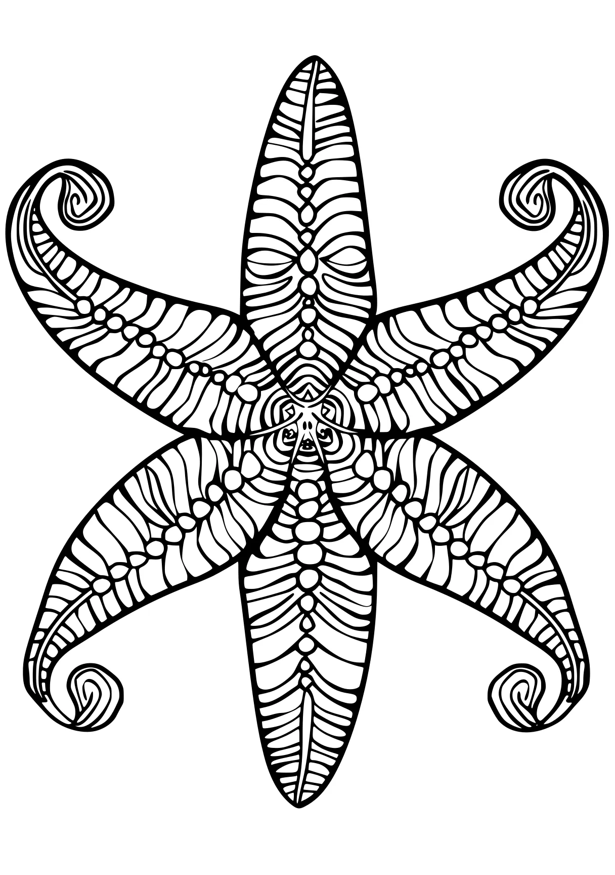 free adult coloring starfish, mandala, zentangle, octopus, ornament, page downloads