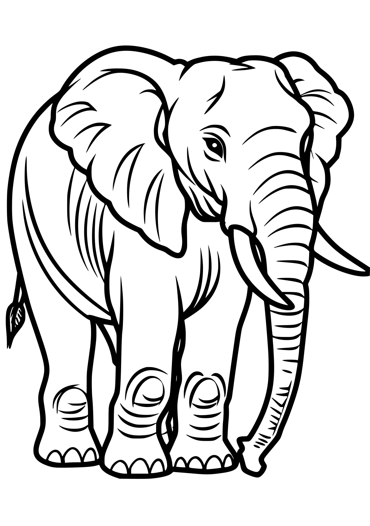 elephant coloring sheet elephant, dumbo, size, illustrator, zoo, free page downloads