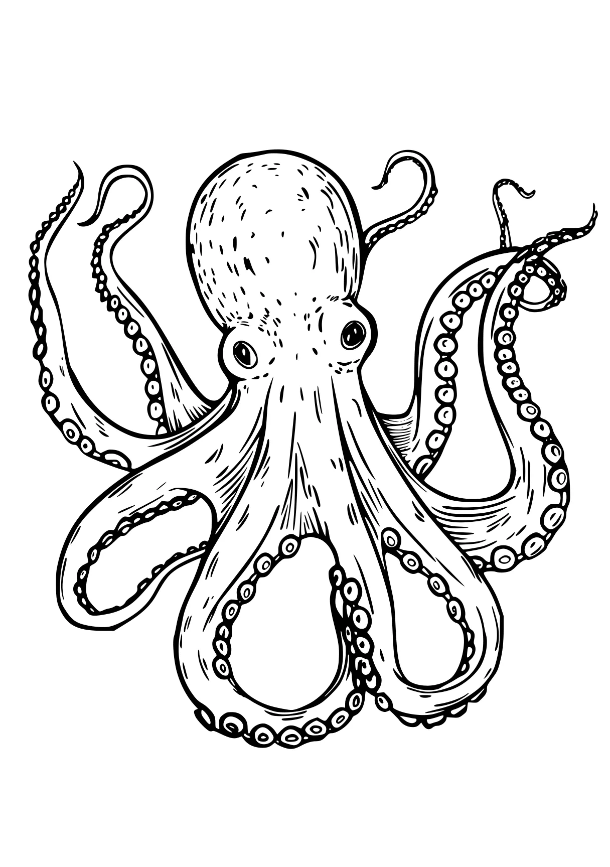 octopus coloring page octopus, patrol, size, illustrator, thing, free downloads