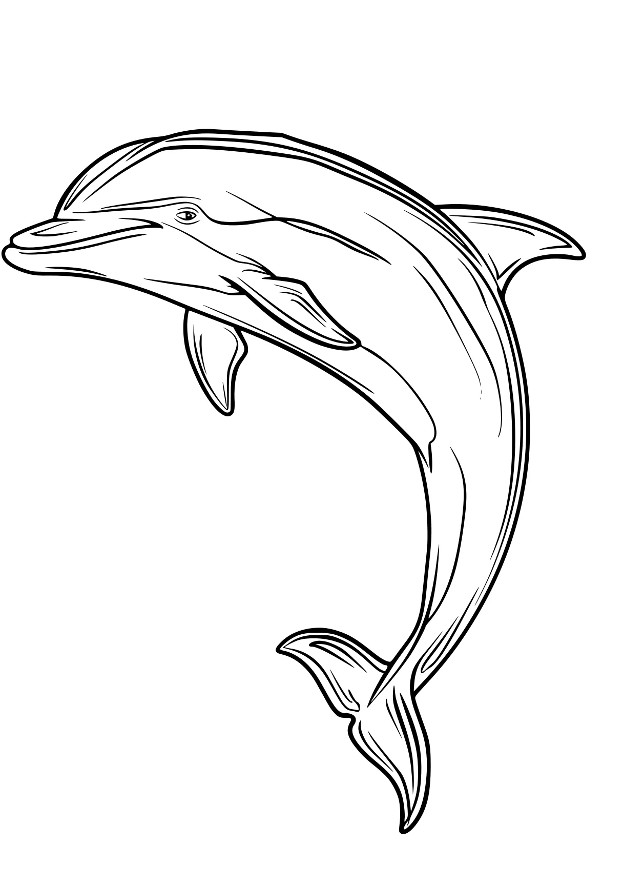 dolphin coloring sheet dolphin, whale, whales, fish, mosasaurus, free page downloads