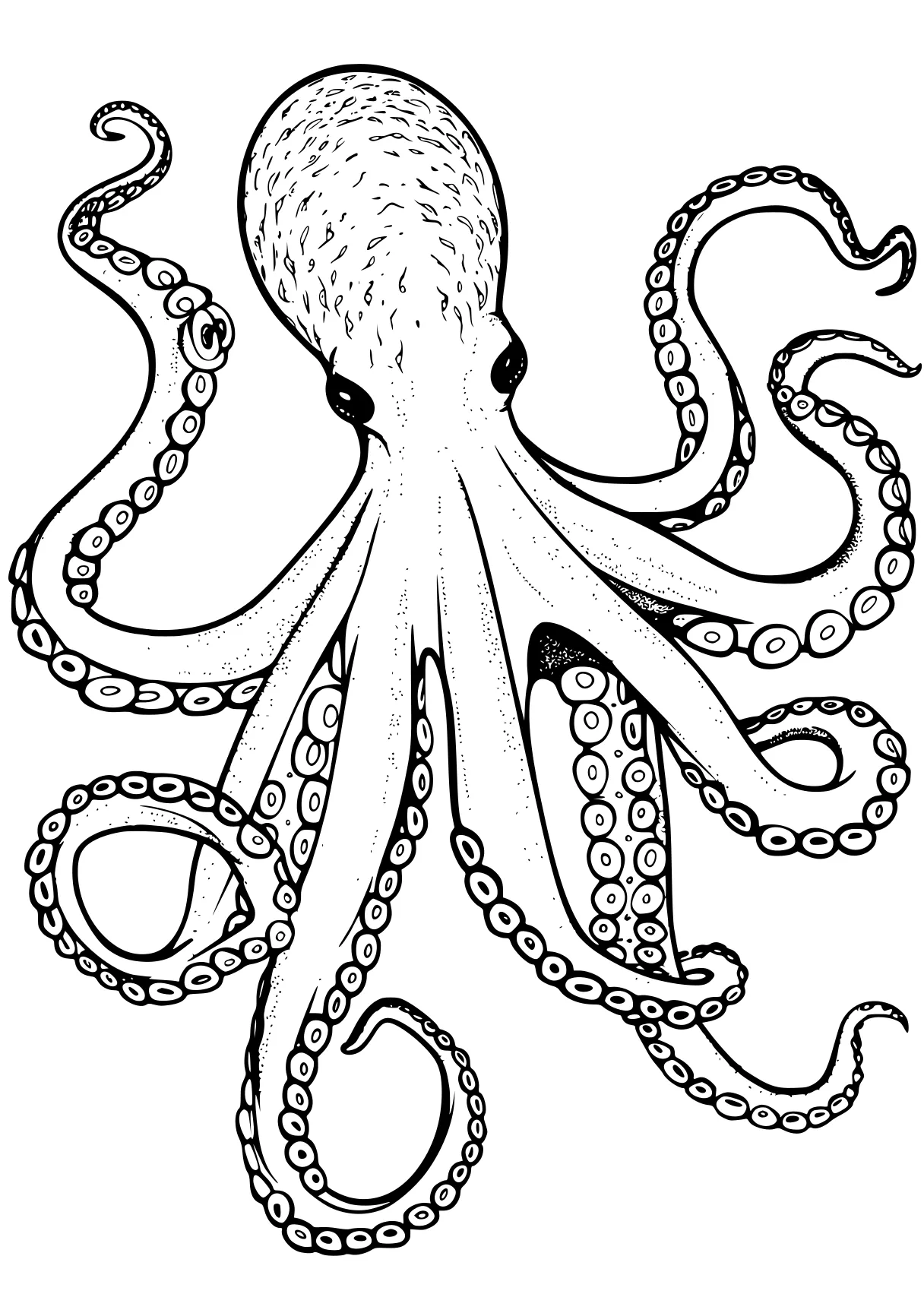 octopus coloring page octopus, illustrator, head, free downloads