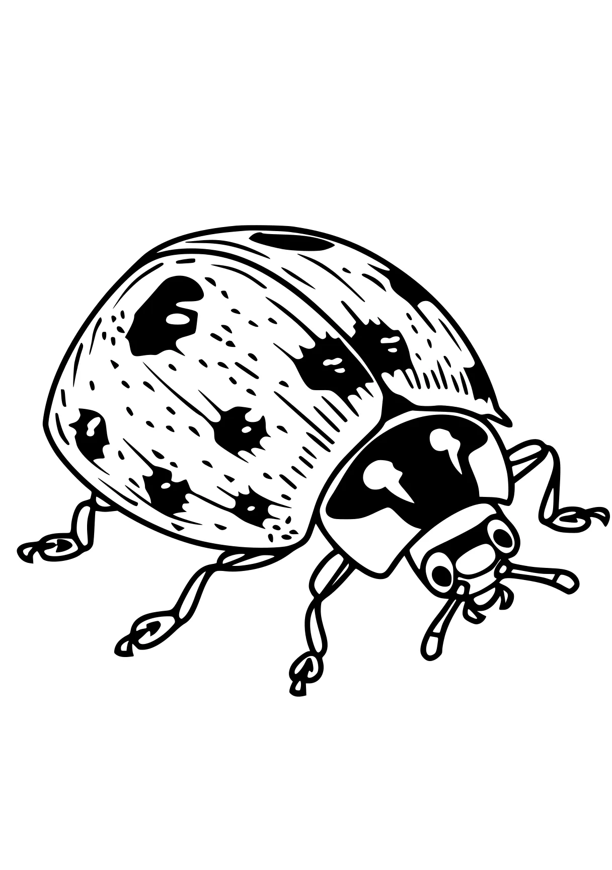 miraculous ladybug colouring pages ladybug, insect, bee, acorn, ant, free coloring page downloads