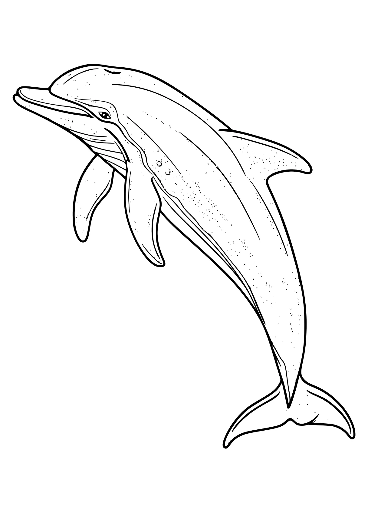 dolphin coloring sheet whale, dolphin, whales, orca, mosasaurus, free page downloads