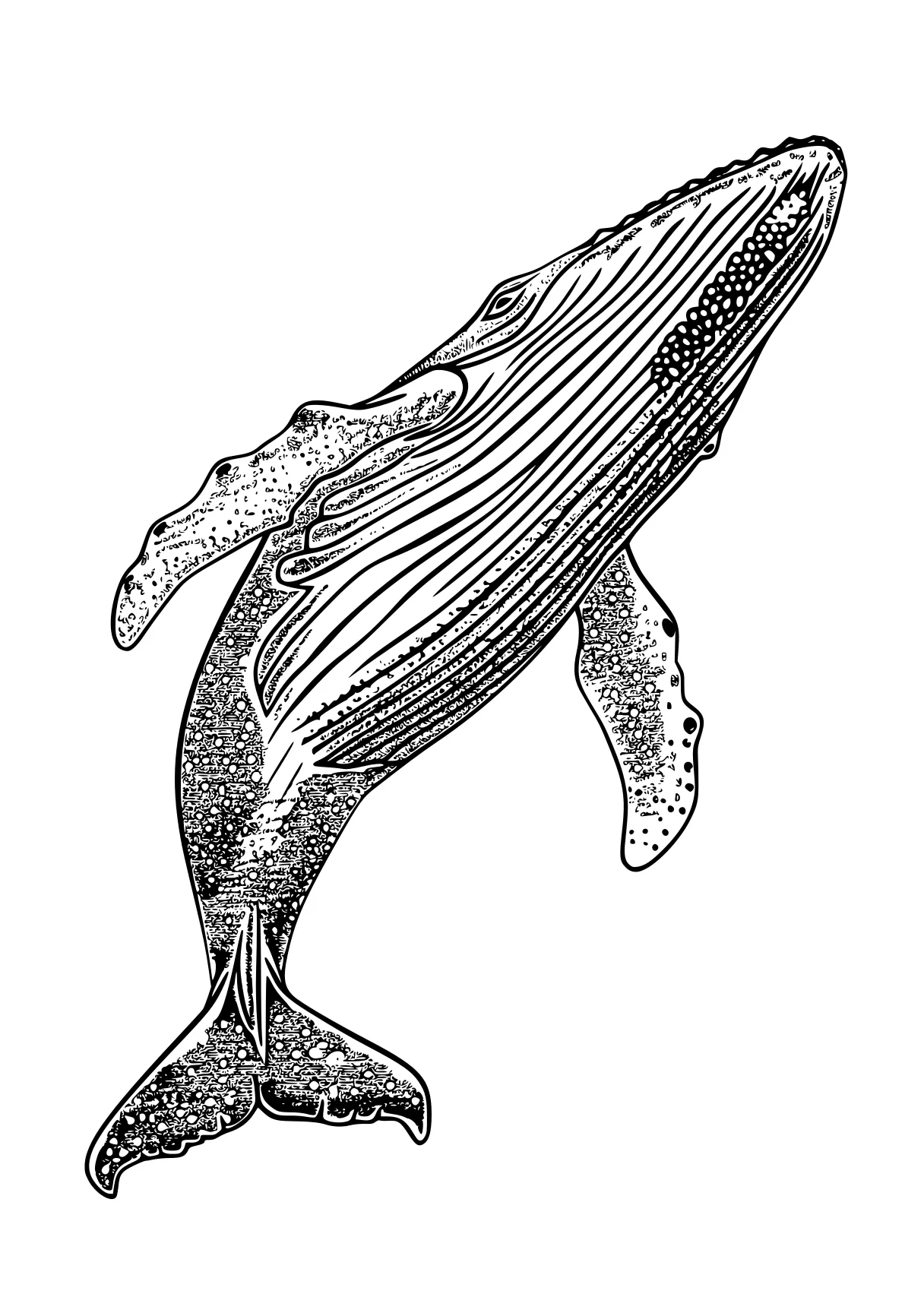 whale coloring page whale, whales, dolphin, orca, mosasaurus, free downloads